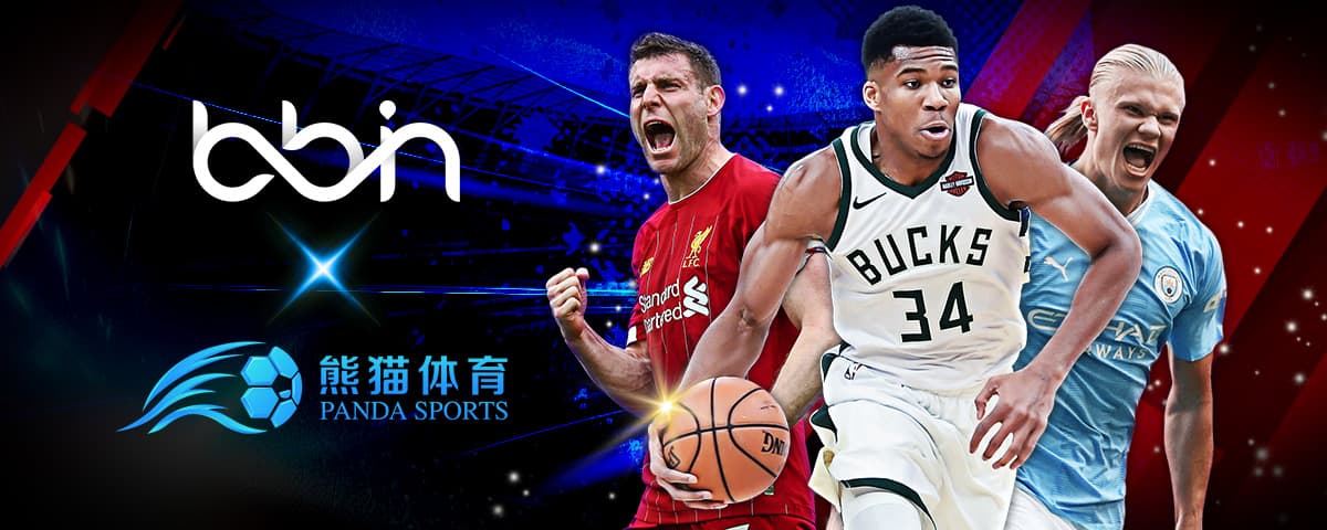 美洲的小国